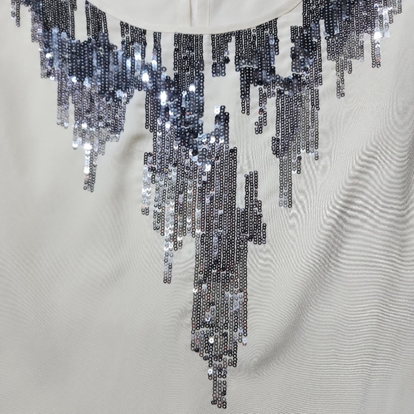 Olive and Oak Cream Color Sleeveless Dressy Top with Silver Sequins Size Small - Picture 4 of 11
